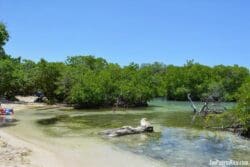 Playa Manglillo with Trail (Mangroves Beach)